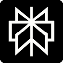 Logo Perplexity